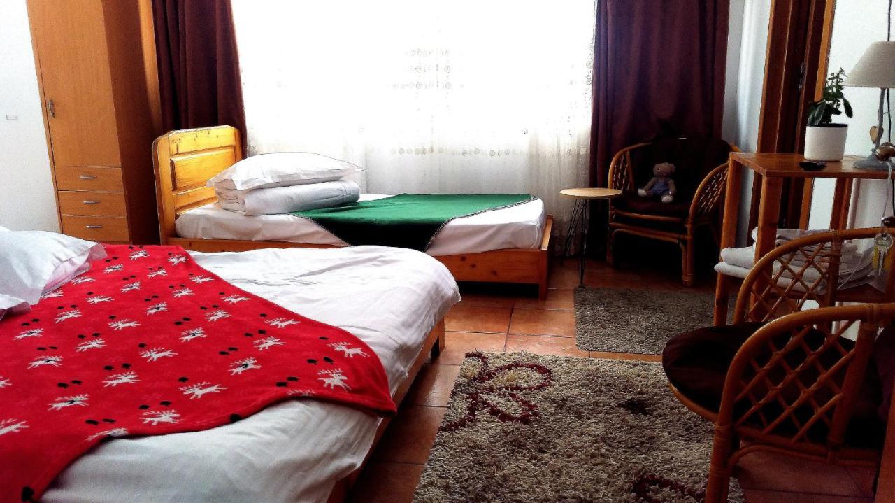 Casa Zura Hotel Busteni Luaran gambar