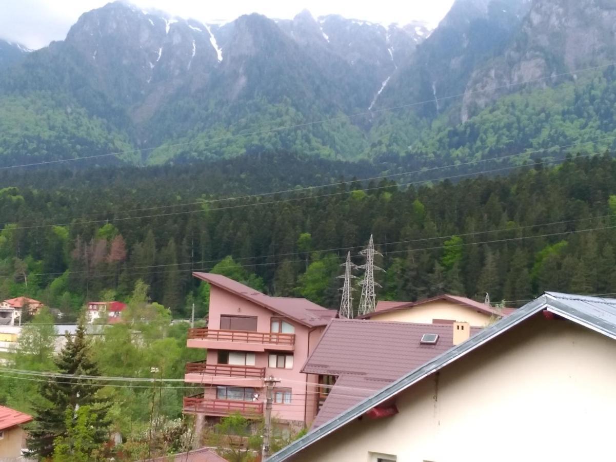 Casa Zura Hotel Busteni Luaran gambar