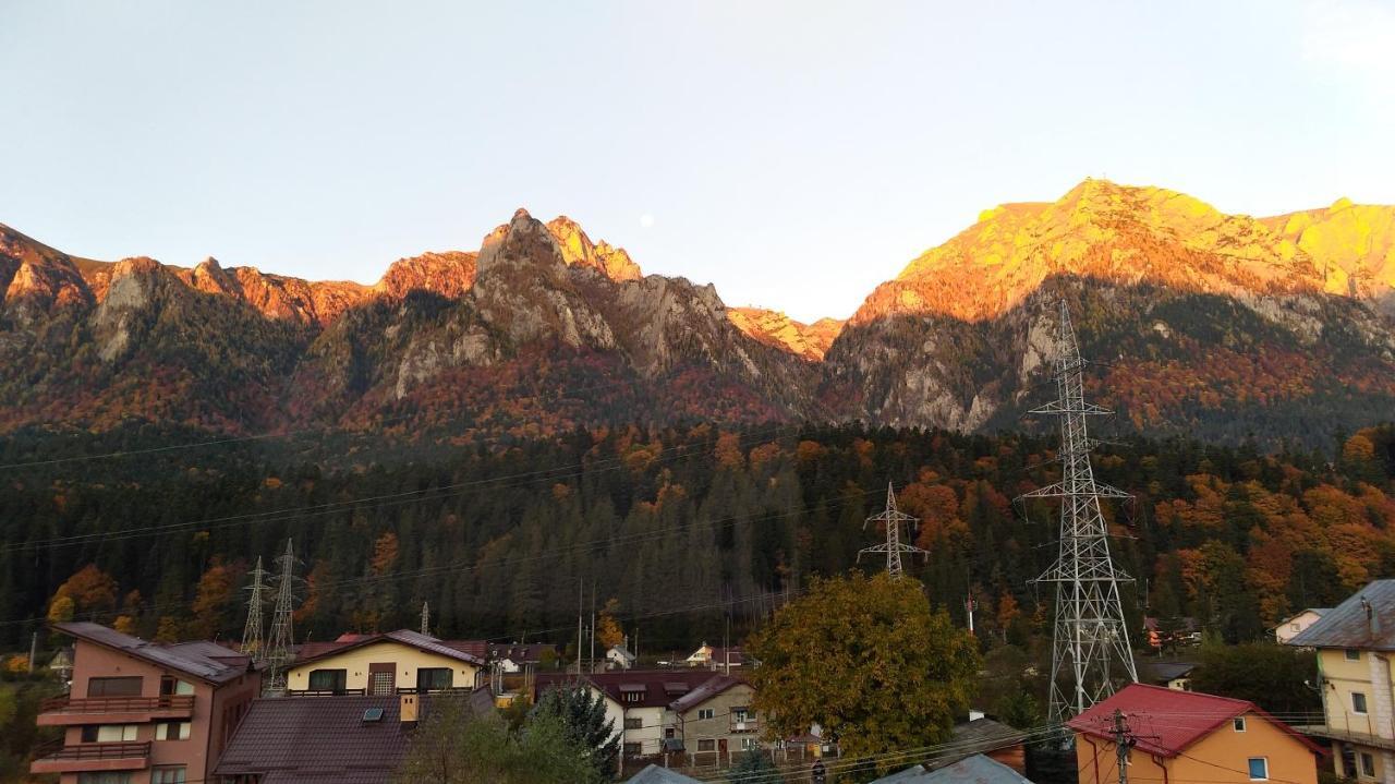 Casa Zura Hotel Busteni Luaran gambar