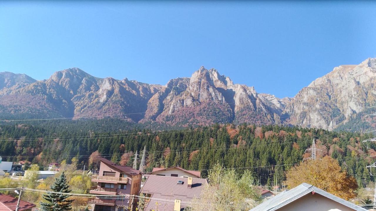 Casa Zura Hotel Busteni Luaran gambar