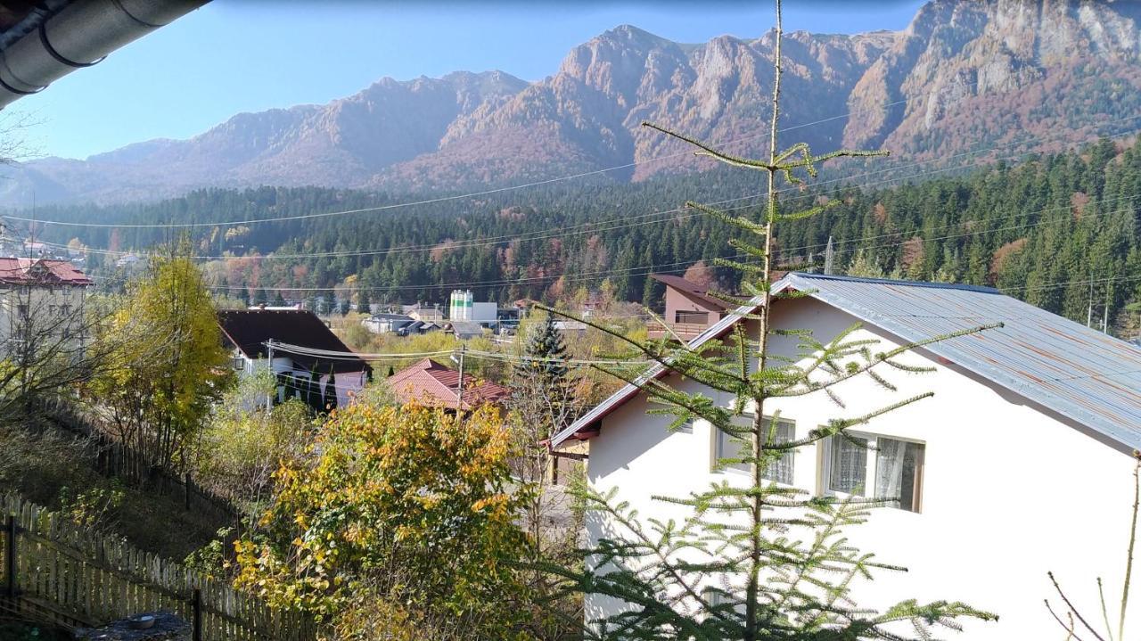 Casa Zura Hotel Busteni Luaran gambar